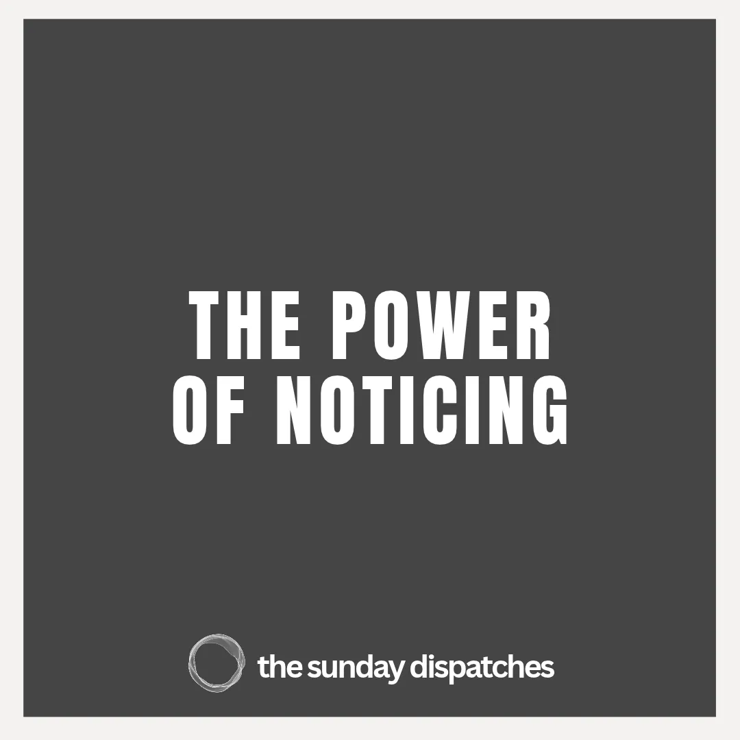 The Power Of Noticing